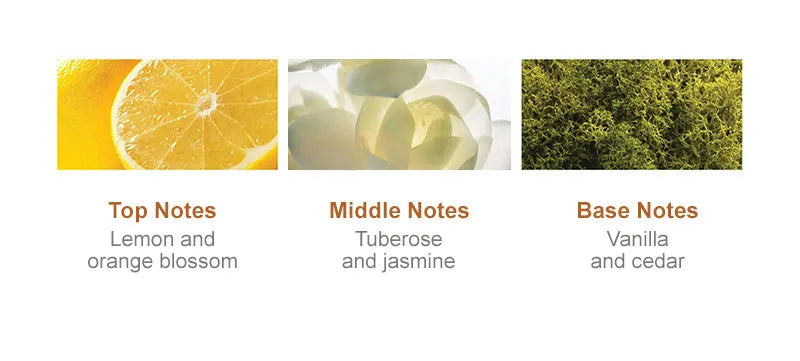 Morocco Argan Oil Shampoo Conditioner Set