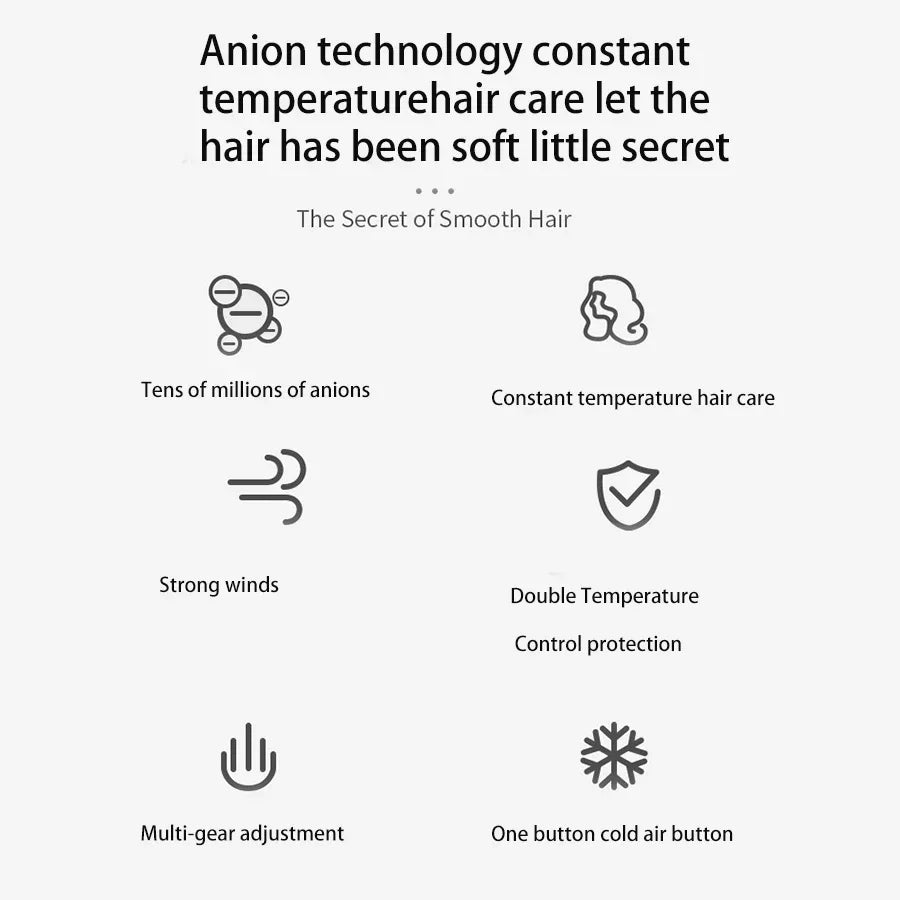 Professional Ion Hairdryer