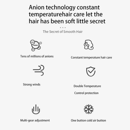 Professional Ion Hairdryer