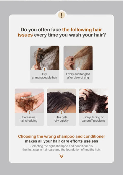 Morocco Argan Oil Shampoo Conditioner Set